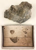 Ex-Academy of Natural Sciences Quartz Specimen